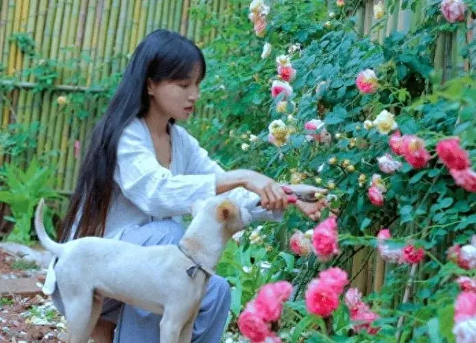 李子柒停更期間拜訪了許多非遺傳人