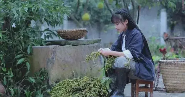 李子柒停更期間拜訪了許多非遺傳人