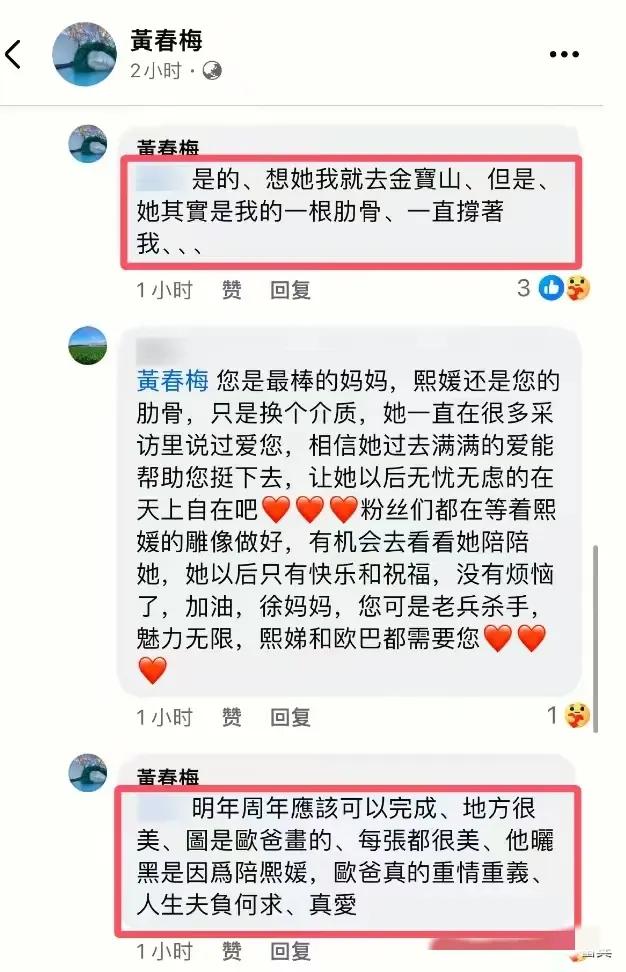 大S雕像圖紙是具俊曄畫的