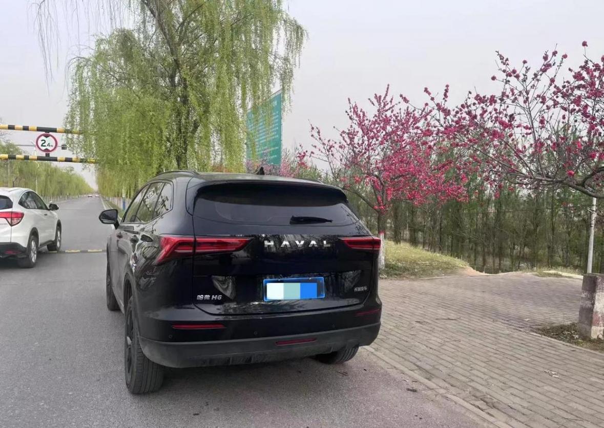 哈弗H6究竟是否神車?作為提車6個月的車主,我來真實分享