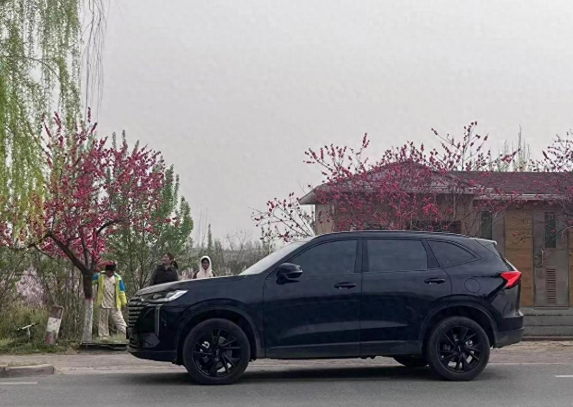 哈弗H6究竟是否神車?作為提車6個月的車主,我來真實分享