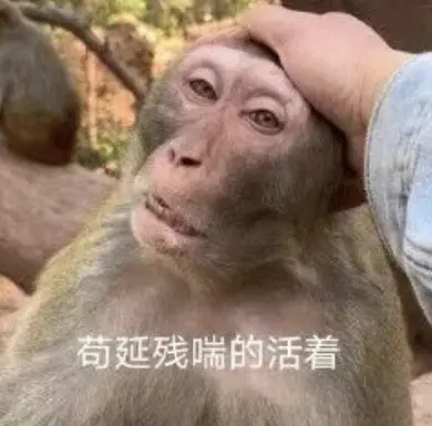 微信也沒想到 小藍包會被玩成這個樣子吧